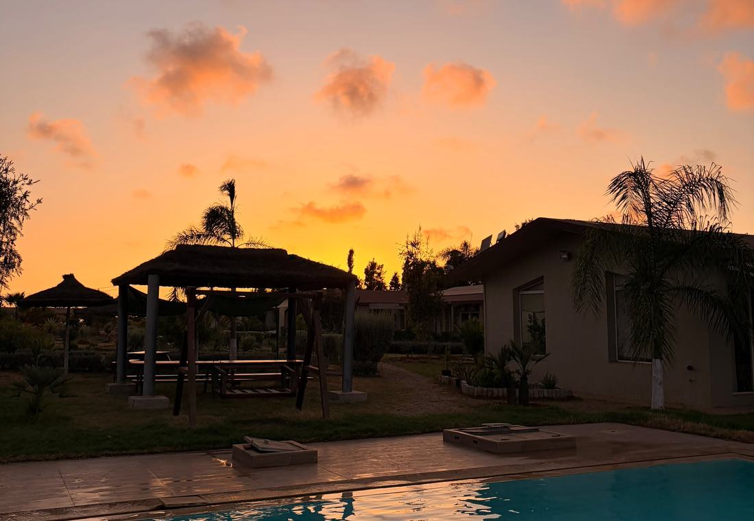 La piscine du domaine au coucher du soleil, ciel orange et palmiers en silhouette