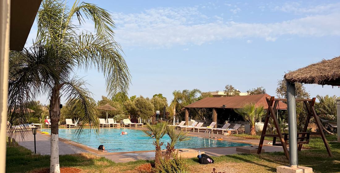Le jardin et la piscine en plein jour, palmiers, hamac et massifs de plantes grasses